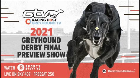 english greyhound derby 2021